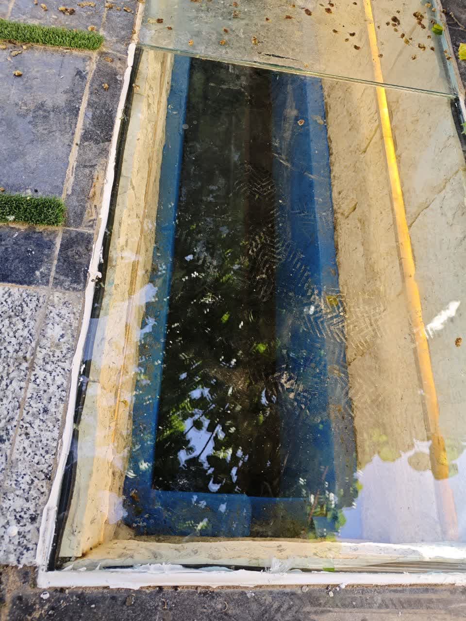 پروه های اخیر